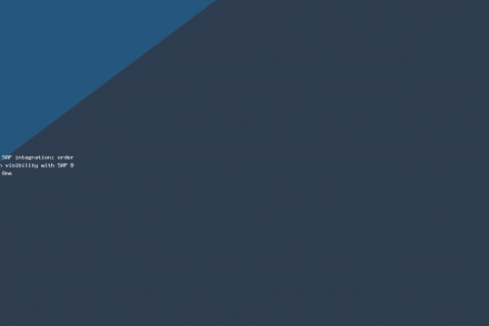HubSpot SAP integration: order-to-cash visibility with SAP Business One